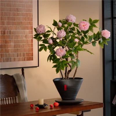 Umelý bonsai z pivonky