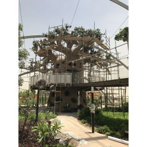 Falošný Baobab strom