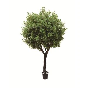Silk Ficus Strom Hobby Lobby