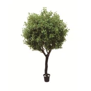Silk Ficus Strom Hobby Lobby